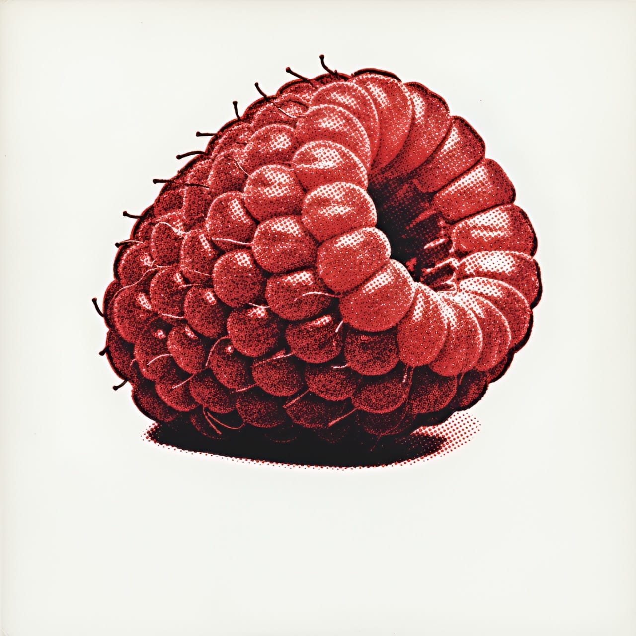 etasty-la-cueillette-de-louise